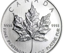 Platinum And Palladium – Metals To Watch Out For In 2023?